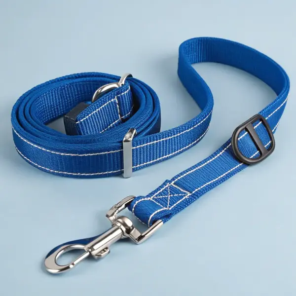 Personalized Name Tag Collar