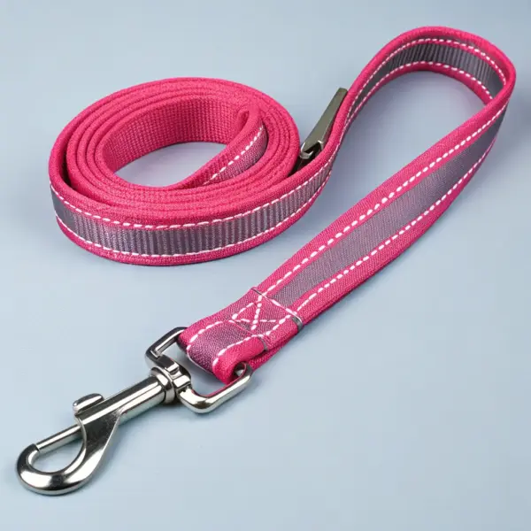 Reflective Nylon Leash